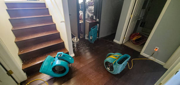 Best Residential water damage restoration  in Sanford, CO