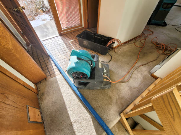 Best Water damage restoration services  in Sanford, CO