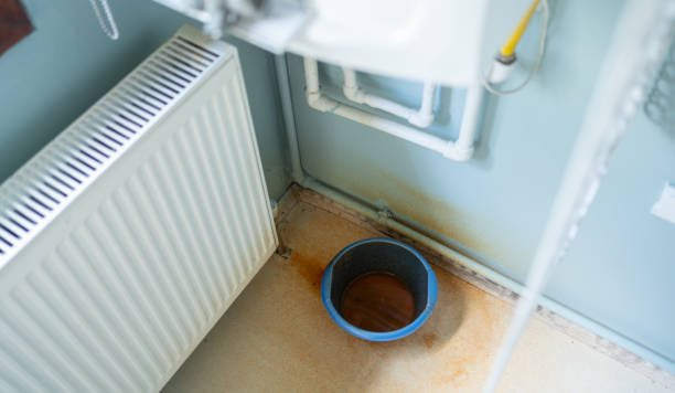 Best Local water damage restoration  in Sanford, CO
